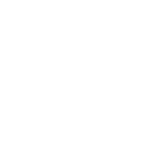 logo stanislas bukovski