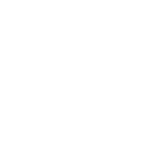 logo dj stanislas bukovski